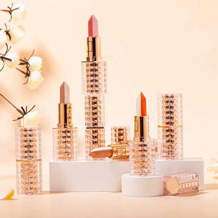 

Fashion Color Ever Beauty Lipstick Private Label Long Lasting Makeup Magic Lipstick Girl Classy Matte Lipstick