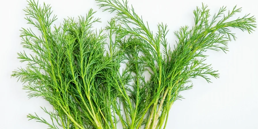 Herb jar collection including dill, lemon zest, garlic, and tarragon