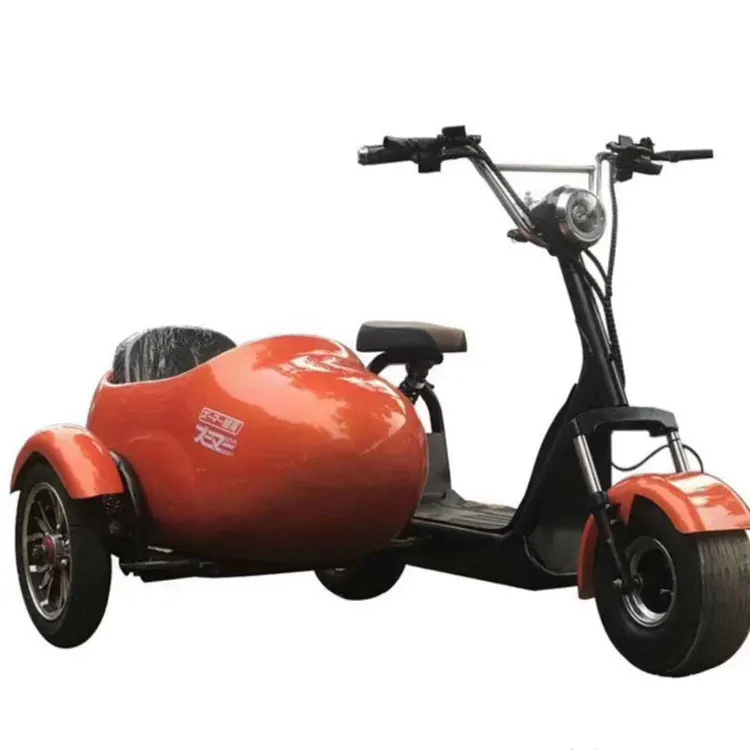 

EEC COC Certification 3 Wheels Citycoco Electric Citycoco Big wheel for sale