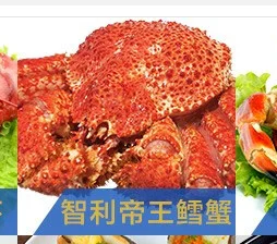 
Snow Crab Antarctica / Deep Sea Crab/ Baby King Crab. WE ARE PRODUCERS !!! 