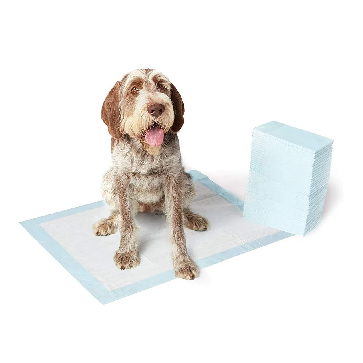 

50 piece Super Absorbent Puppy Training Products Disposable Pet pee Potty Training Pads, Blue