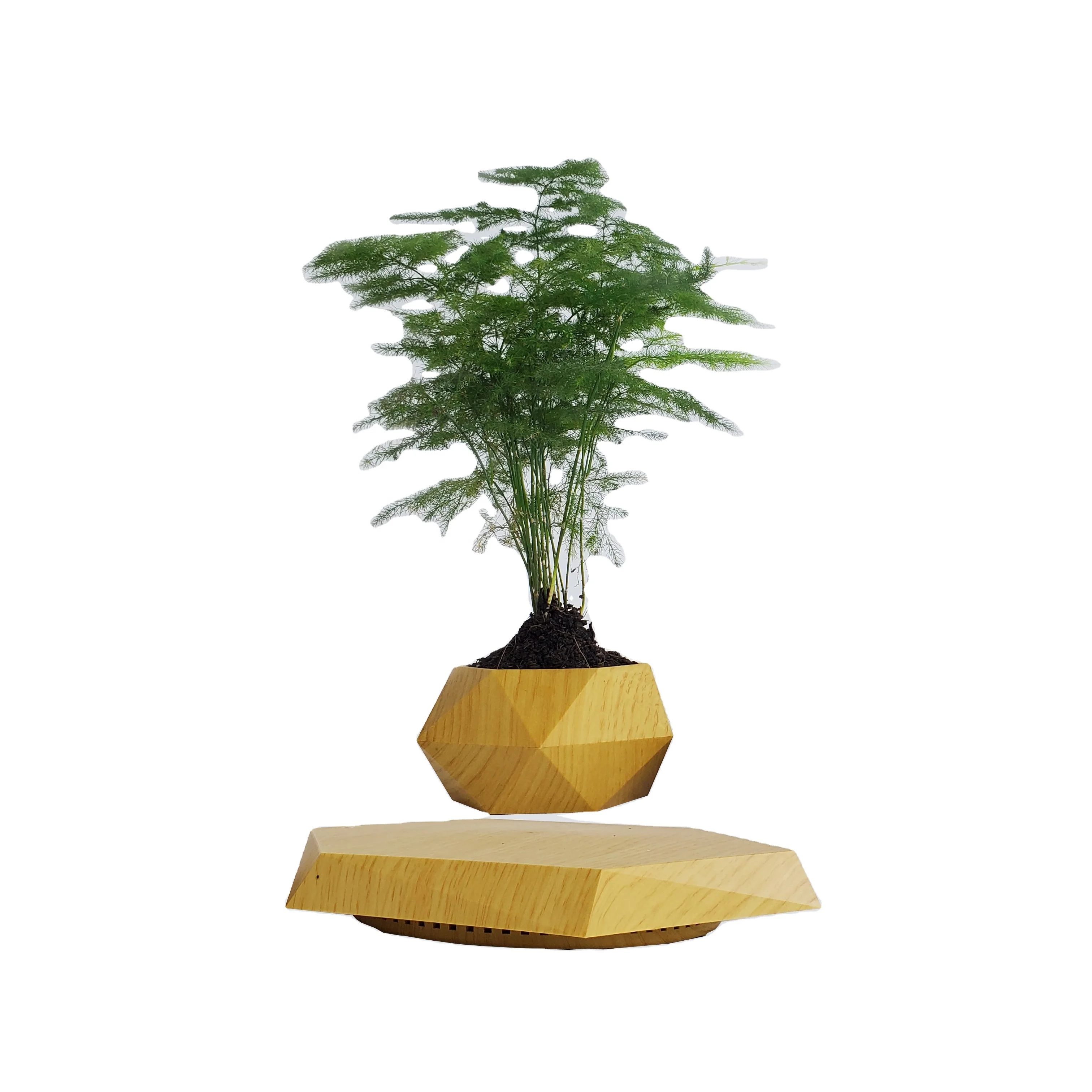 

Newest HCNT Magnetic Levitating Bonsai Floating Plant Holder Cheap and Exquisite Gift for New Year&Birthday or Indoor Decoration