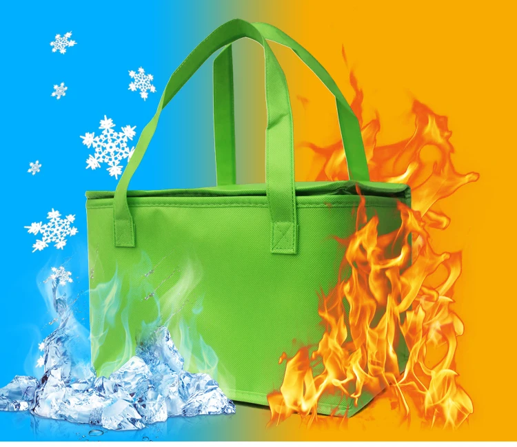 lunch cooler bag