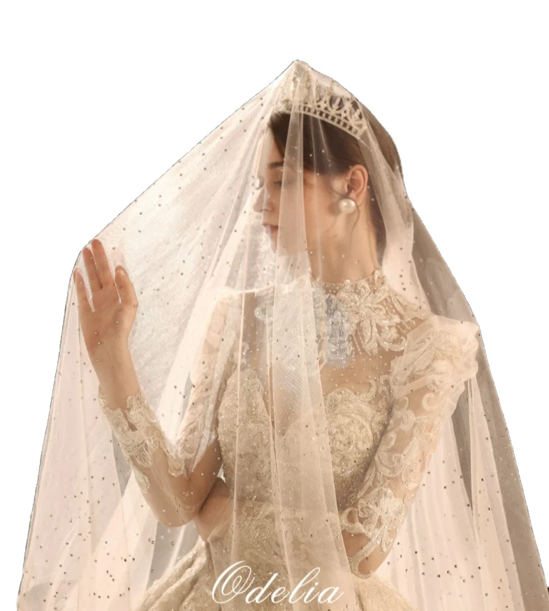 

New simple wedding dress veil bride wedding headdress photo studio photography veil double-layer Pearl