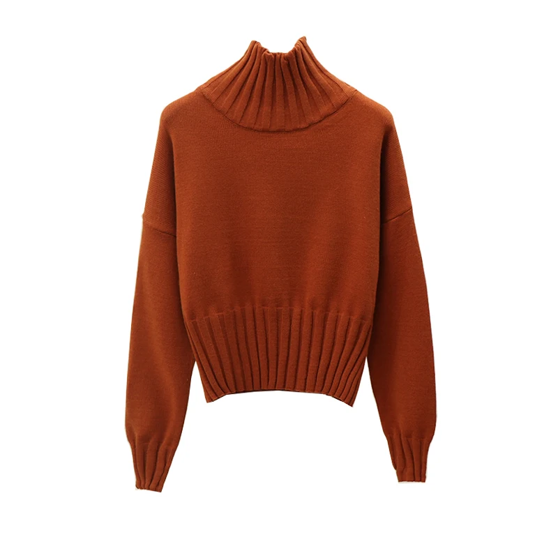 

2019 new autumn and winter loose high collar thick long sleeve bottoming shirt short sweater women