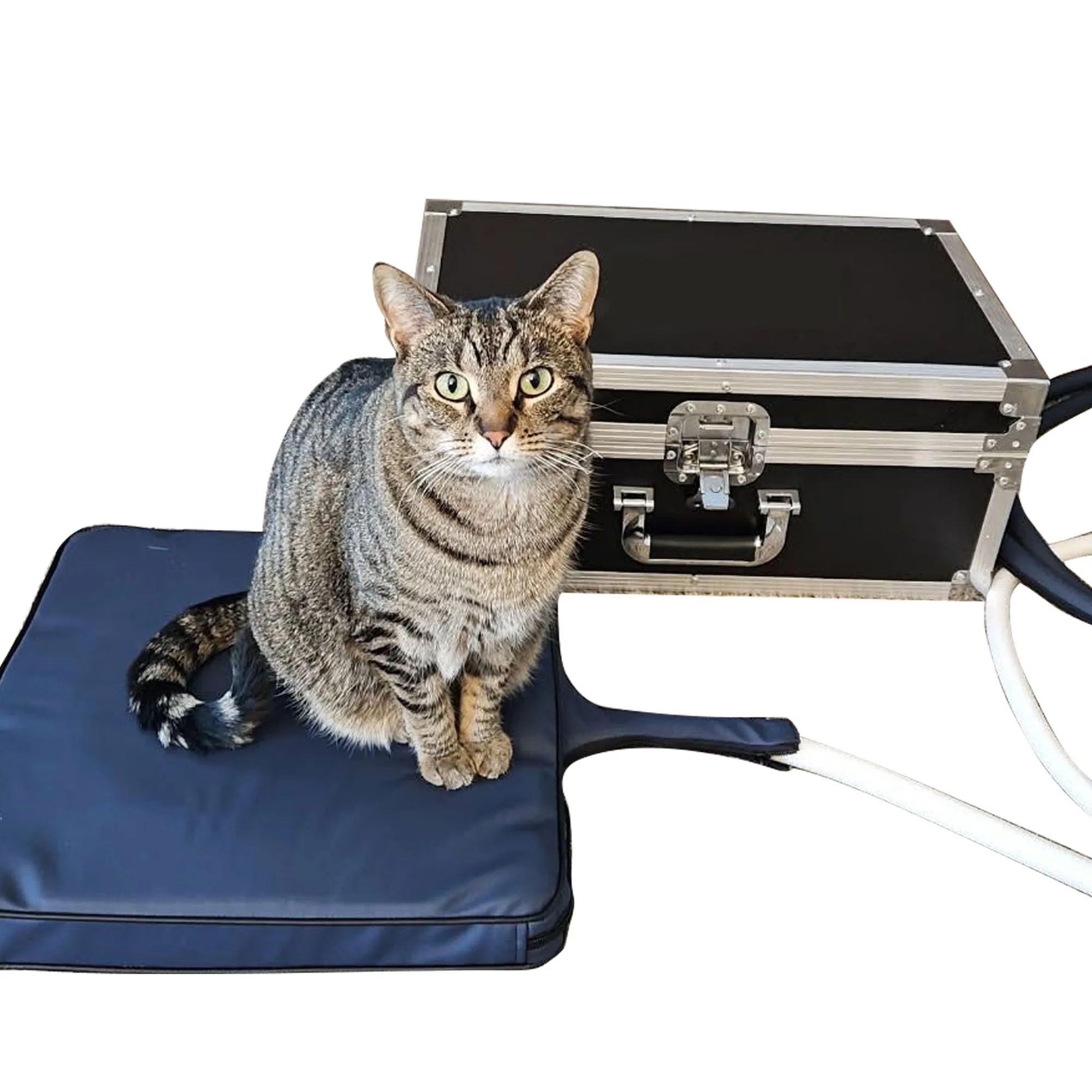 PMST LOOP for Small Animal Magnetic therapy Machine