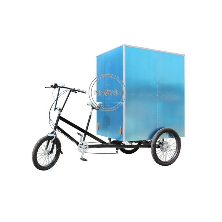 

3 Wheel Electric Pedal Cargo Bike 3 Wheel Assist Food Vending Motor Coffee Beer Tricycle for American