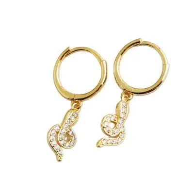

Hot Selling Earring Jewelry Snake Shape Zircon Earrings For Women Silver 925, As picture