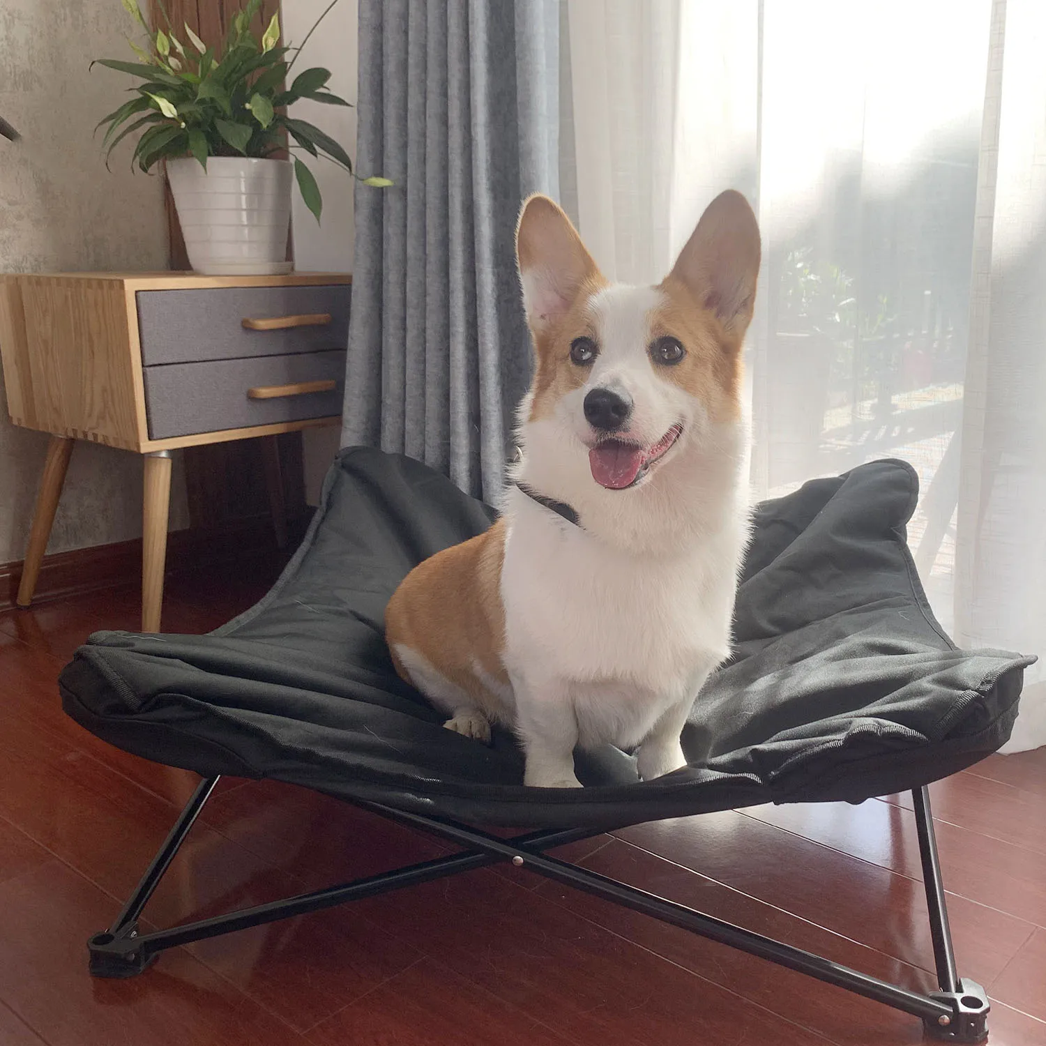 

Wholesale Elevated Dog Bed Cot Folding Pet Bed for Dogs & Cats Outdoor Indoor Camping Raised Luxury Pet Cot, Customized