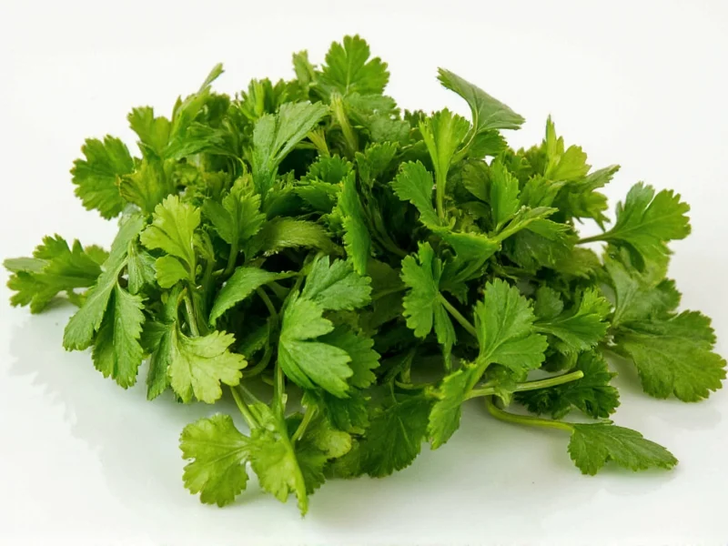 Dried Cilantro to Fresh Conversion: Exact Ratio Guide
