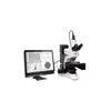 Image Particle Size Distribution Analysis Expert