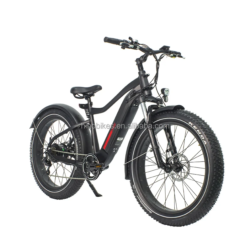 

Amazon hot selling 750w 1000w motor e-bike fat tire mountain bike fatbike e bicycle electric bike