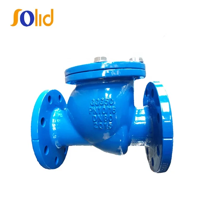 DIN standard Ductile Iron Flanged End Swing Check Valve 3.jpg