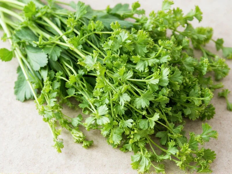 Best Coriander Substitutes: Practical Swaps for Any Recipe