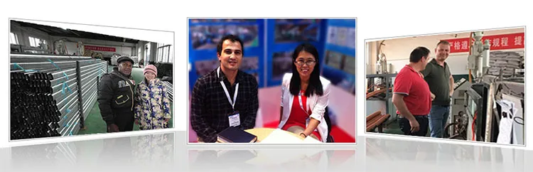 title-script-Our Services2.jpg