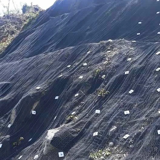Cable Mesh Animal Enclosures