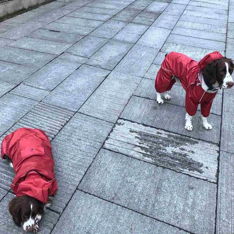 

2022 US Fashionable in Amazon Burgundy Dog Reflective Raincoat Lightweight Waterproof Poncho Golden-retriever Rainjacket