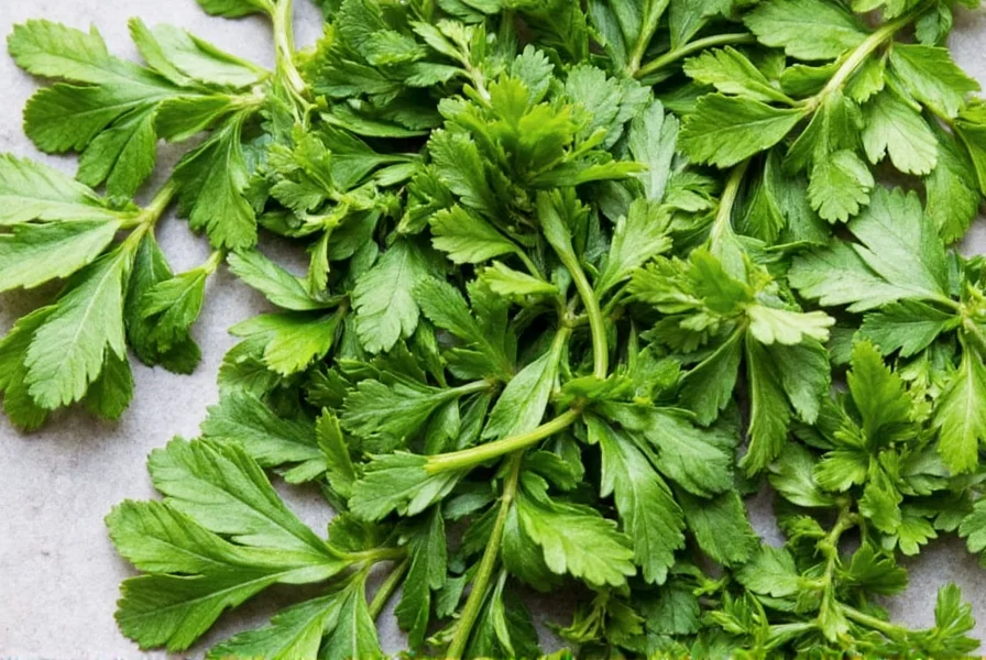 Dried Oregano