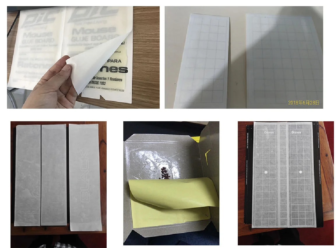 fly traps sample.png