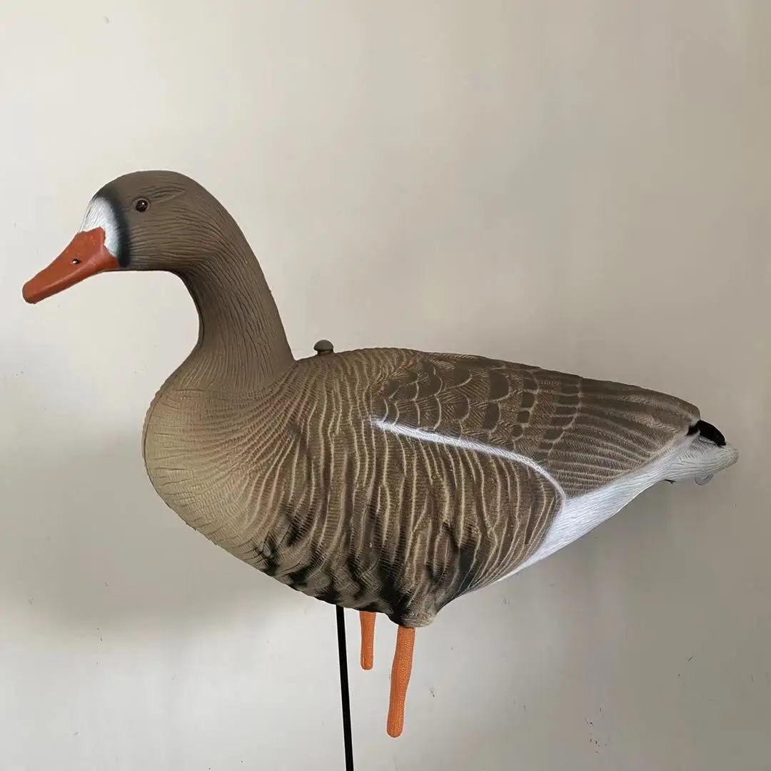 
New arrival and new painting decoy geese for hunter hunting 