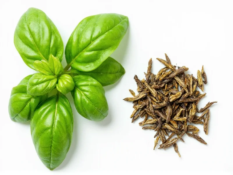 Fresh Basil to Dried Conversion: Exact Measurements