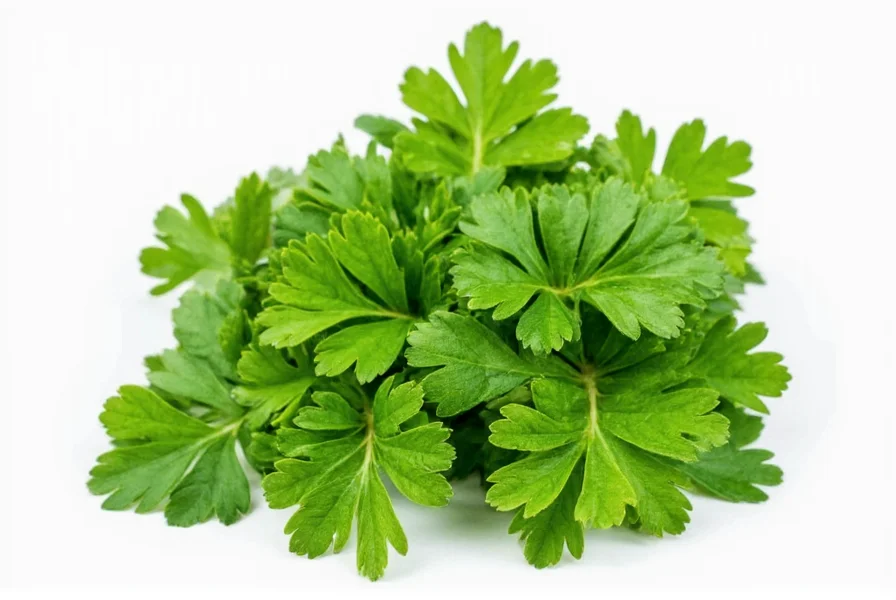 Fresh chimichurri sauce with parsley