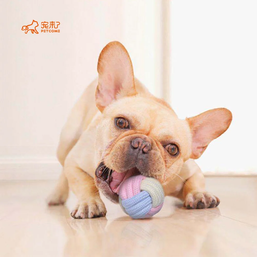 

PETCOME Amazon New Popular Colorful Interactive Chewing Dog Toy Assorted Rope Set