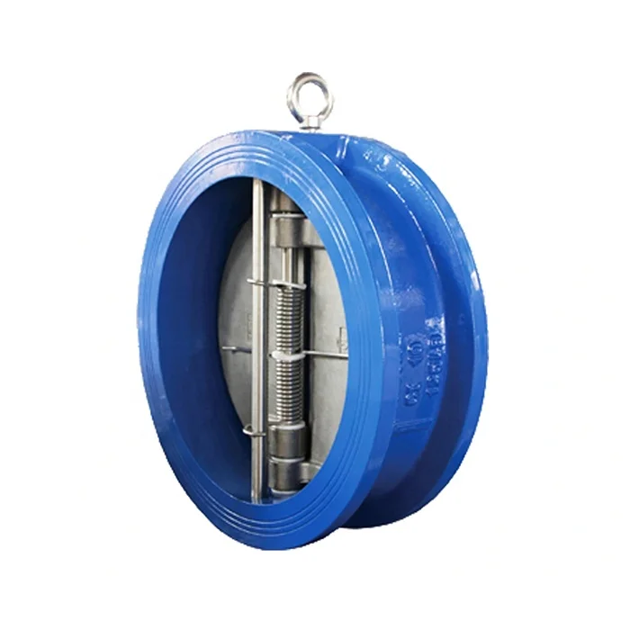 Cast Iron Double Disc Door Wafer Type Dual Plate Check Valve
