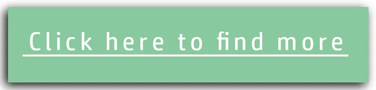 Company Information-2