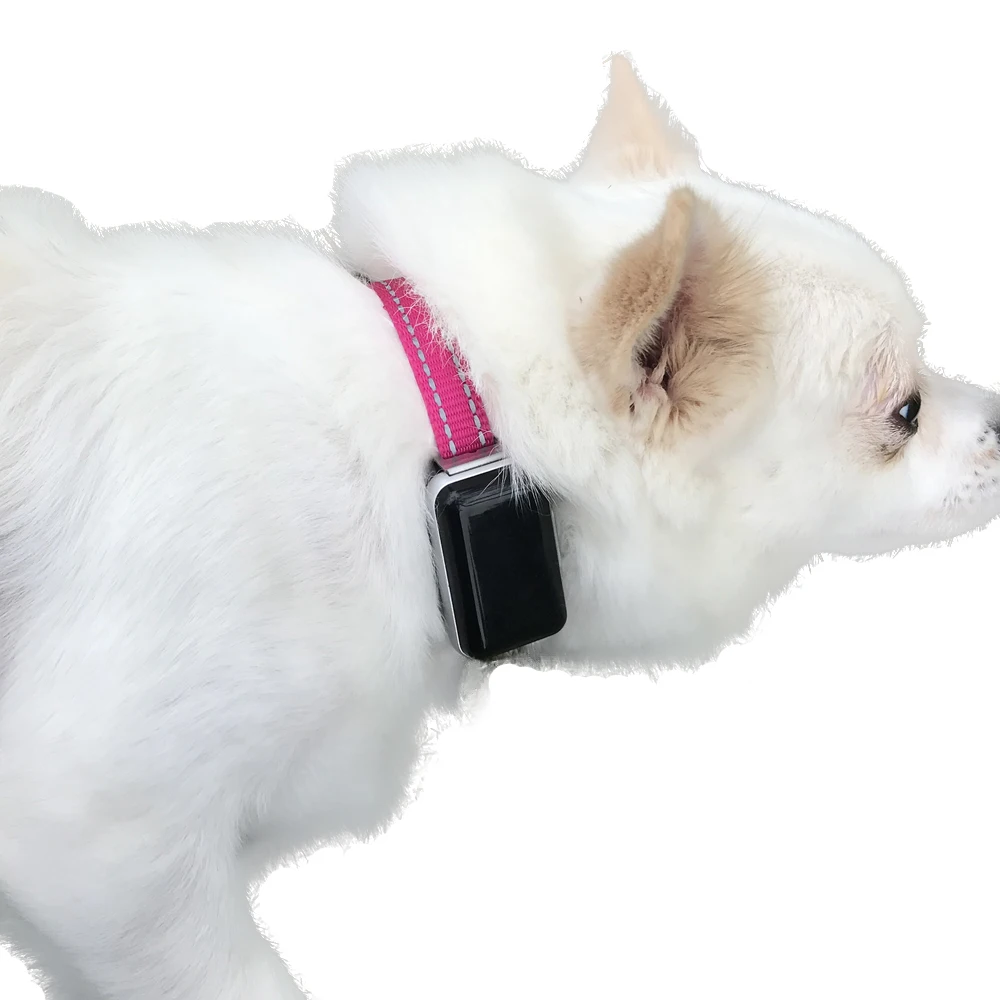 

pet tracker gps dog collar with voice surveillance, Black