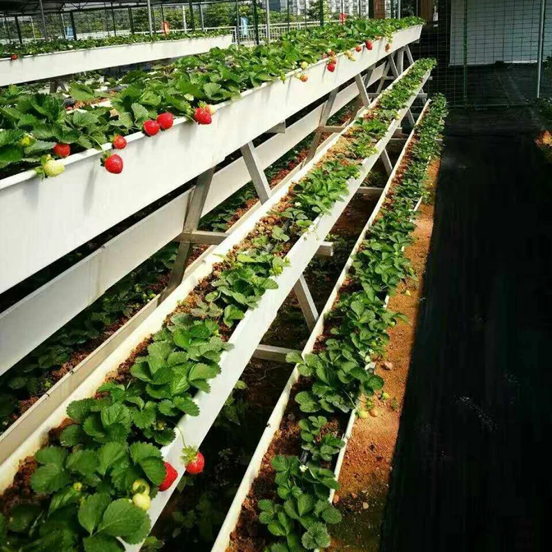 nft hydroponics