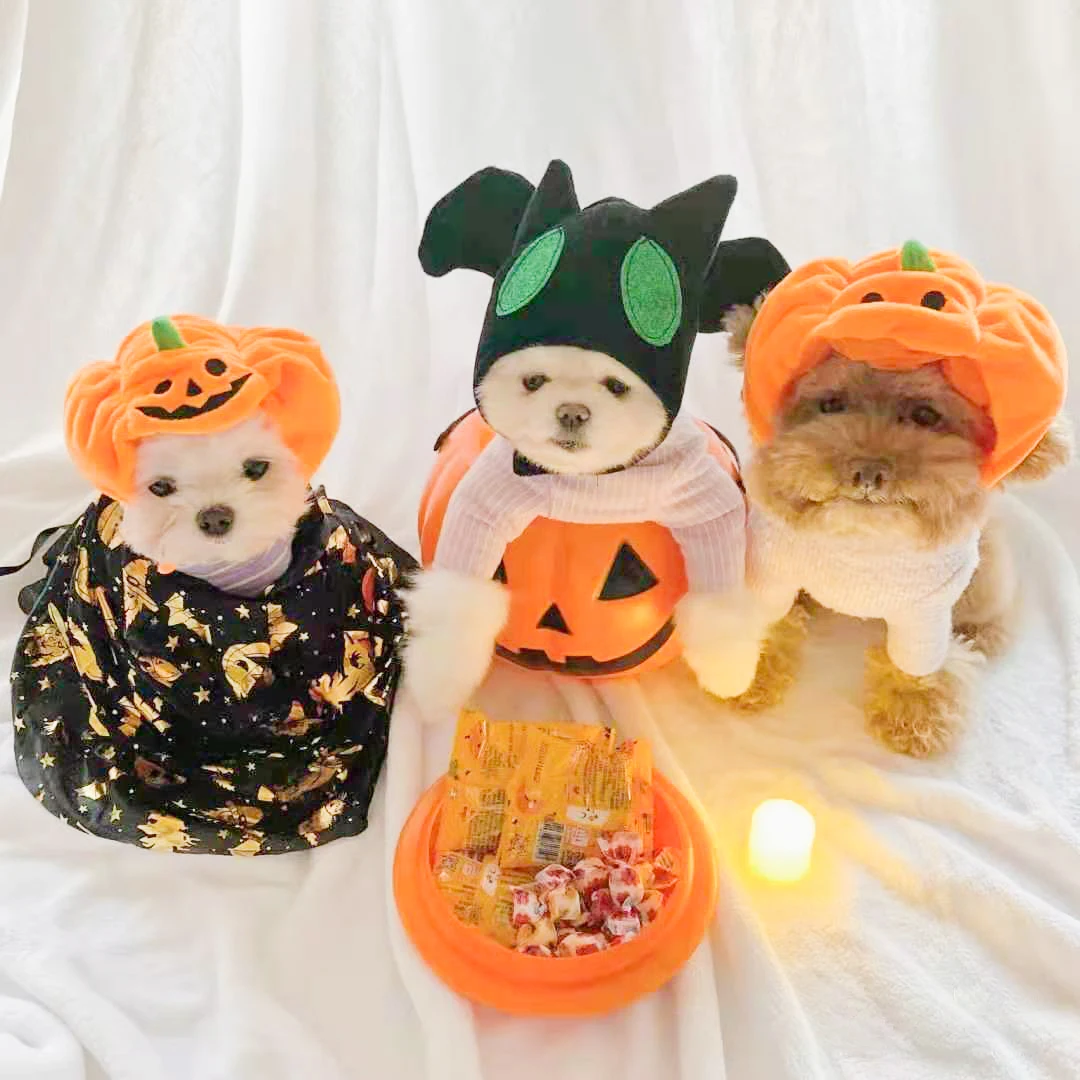 

Factory price low MOQ halloween party christmas holiday Pumpkin dog hat for dogs accessories
