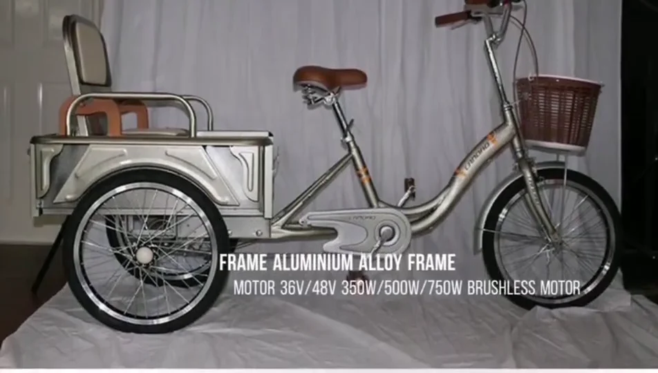 Electric Cargo Pedal Trike Tricycle Non Electric /cargo Pedal Trike