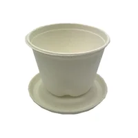 

Compostable Eco-friendly 4oz Cups, 100% Biodegradable Sugarcane Plant Fiber Pulp