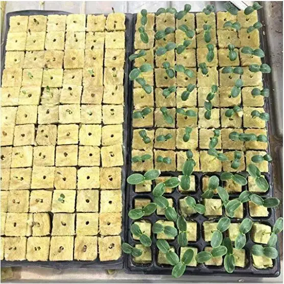 best hydroponic system for cannabis