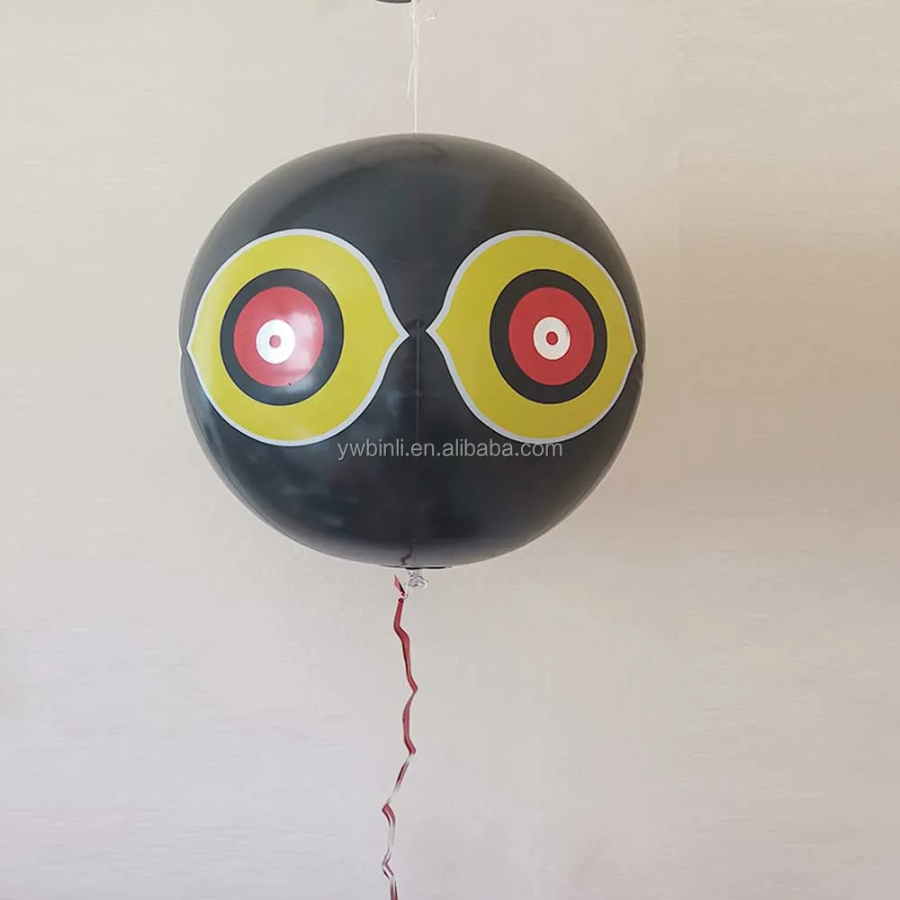 IMG_20190730_153337 - .jpg