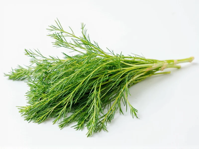 How Much Is a Sprig of Dill: Exact Measurements
