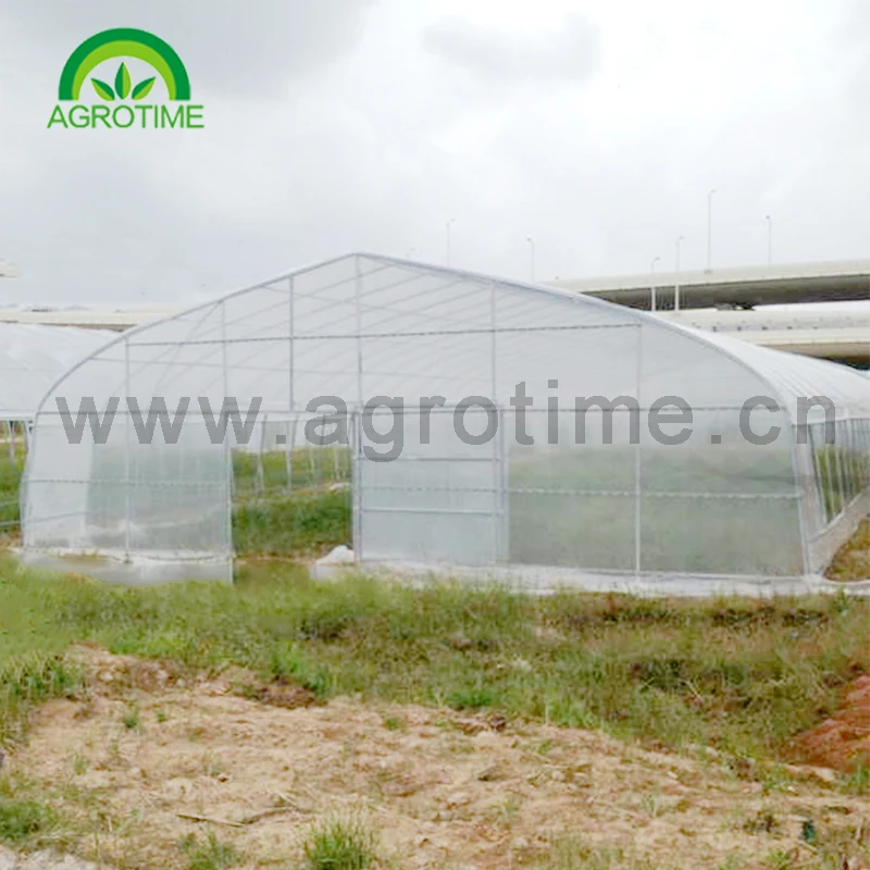 
low cost Conveniently polytunnel greenhouse with Excellent strength for agriculture 