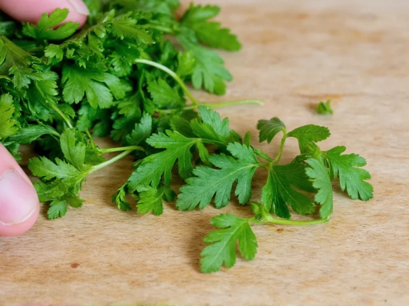 How to Dry Fresh Parsley: 3 Best Methods for Flavor Preservation
