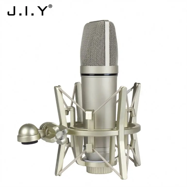 

China Factory Studio Mike Microphone Foldable Condenser, Champagne