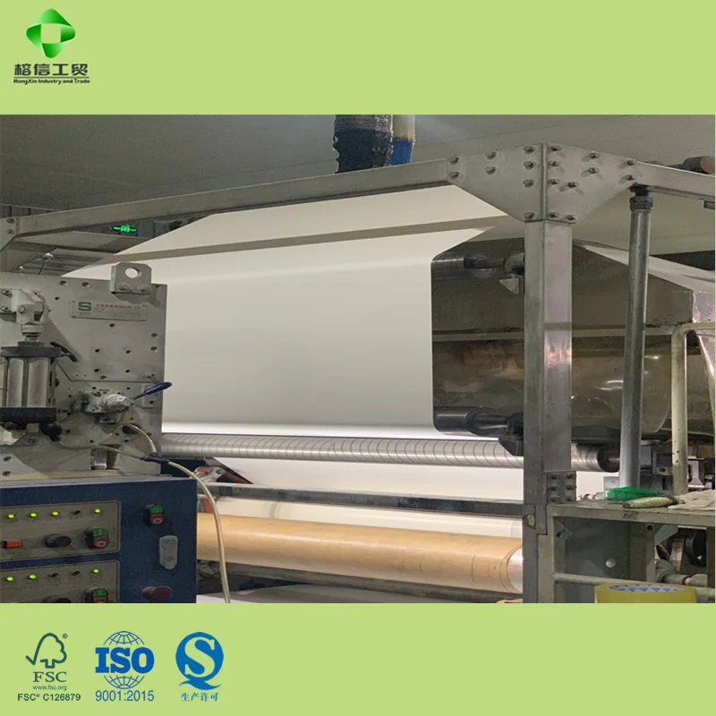 
Meat Packaging Paper In Jumbo Roll NOTE Coating Paper Biodegradable Wholesale 