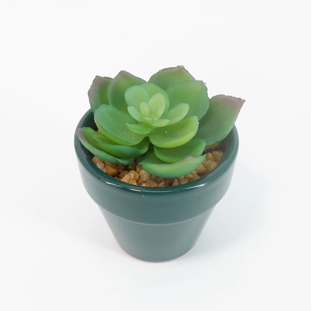 Artificial Green Ceramic Potted Small Succulent Plants Buy Suculent