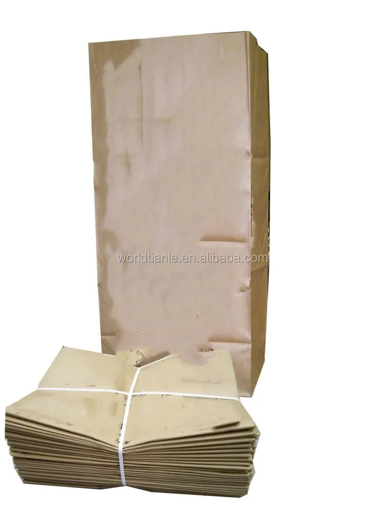 paper lawn bag.jpg