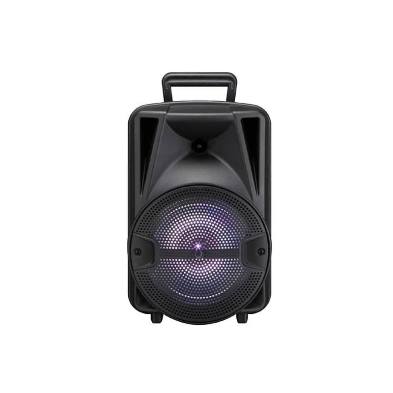 

New Arrival Outdoor Blue tooth Speaker Stage Dancing Home Mobile Phone Waterproof SIMPLE USB Set Computer Wireless Microphone, Black