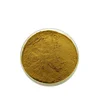 red Mace extract/nutmeg extract powder