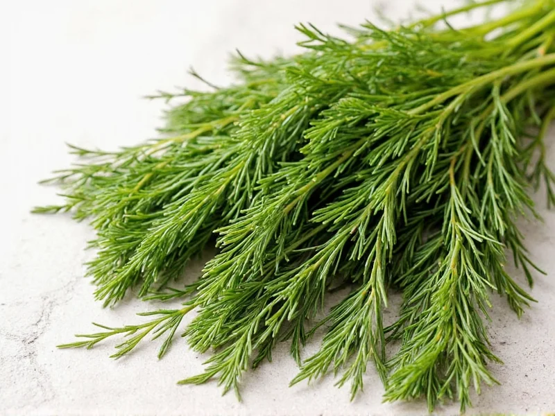 Best Dill Spice Substitutes for Any Recipe
