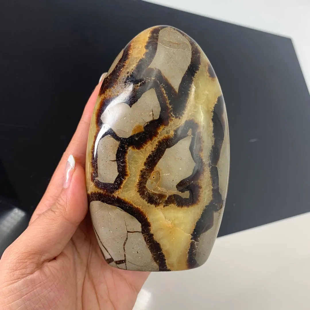 

wholesale high quality natural septarium free form healing stone fengshui crystals crafts