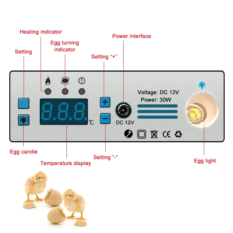 16egg incubator-14.jpg