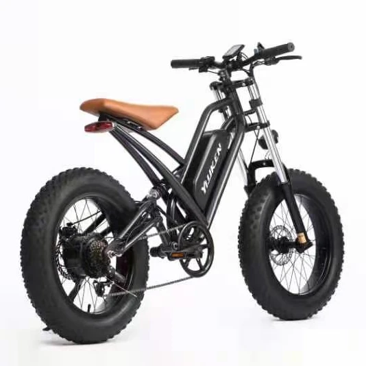

2021 Hot-selling Youken 750W 48V 13Ah Mountain Bike 20inch Fat Tire Full Suspension Folding Electric Motorcycle Bike