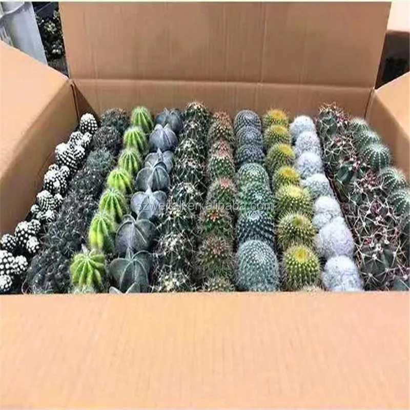 1117629879.jpg